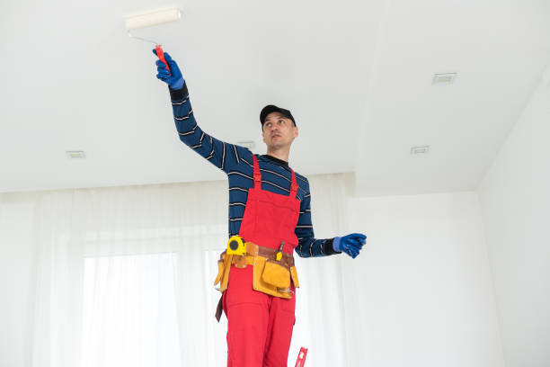 Best Post-Construction Mold Inspection  in Burkesville, KY