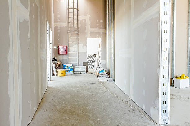 Trusted Burkesville, KY Mold Removal Experts