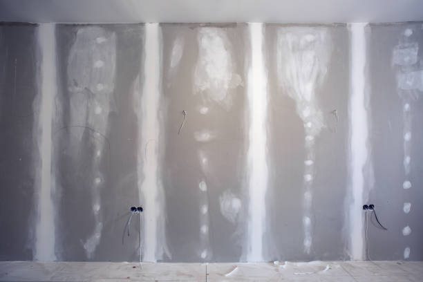 Best Mold Documentation for Insurance Claims  in Burkesville, KY
